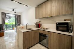 Leedon Green (D10), Condominium #467233651